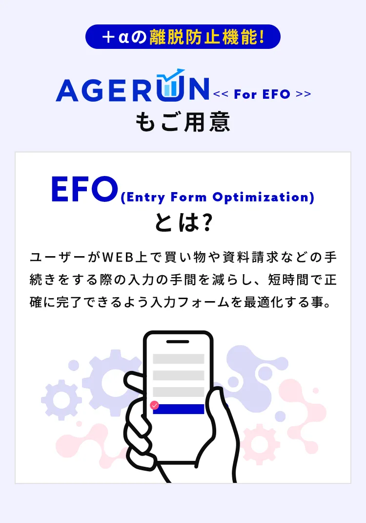 EFO(Entry Form Optimization)とは?
